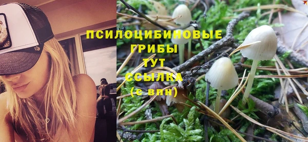 гашиш Беломорск