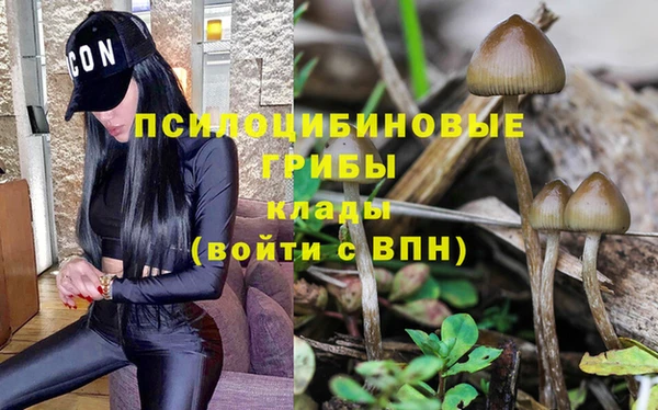 гашиш Беломорск