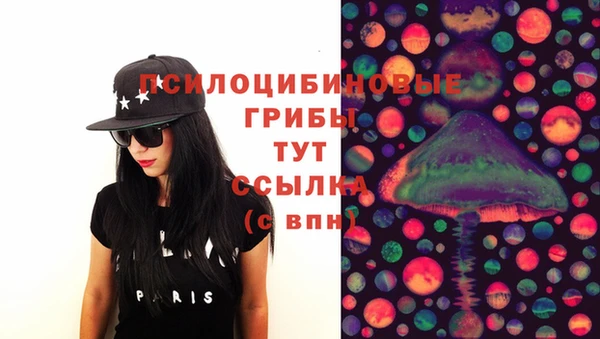 таблы Белокуриха