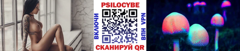 OMG ссылки  Гороховец  Галлюциногенные грибы Psilocybe 